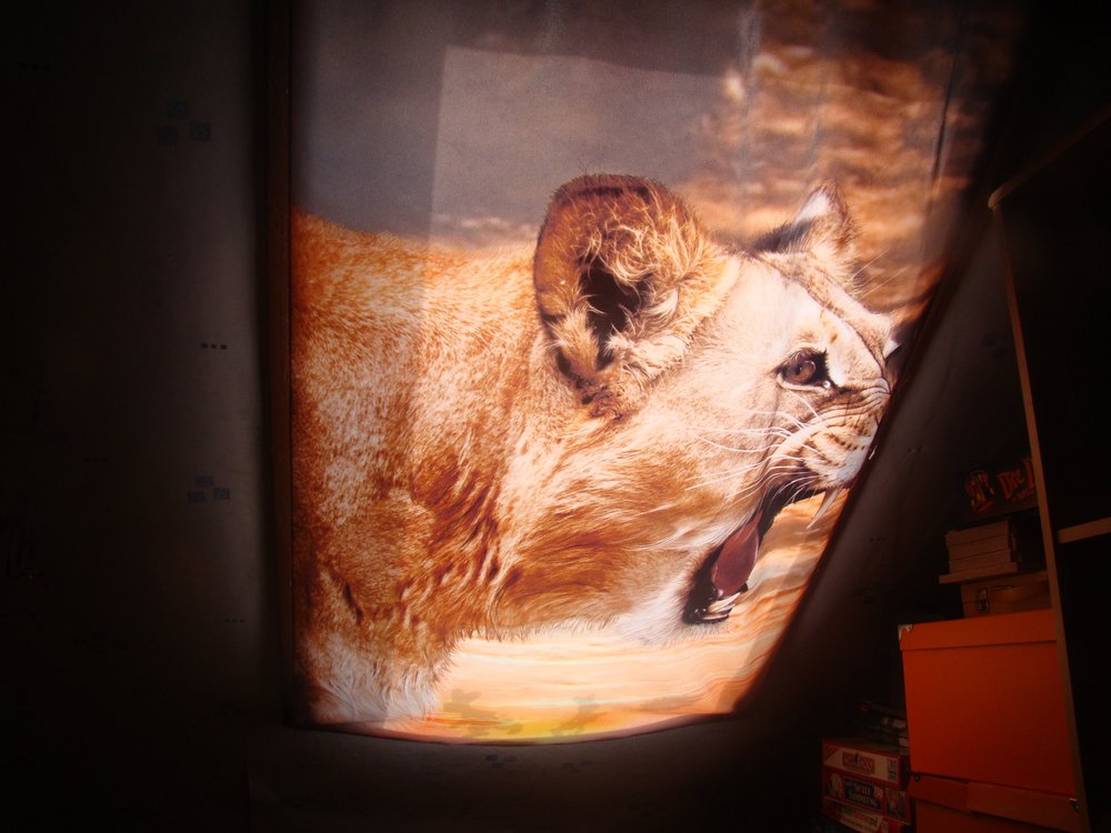 Foto-Gardine mit Löwe für Kinderzimmer - La-Melle.de