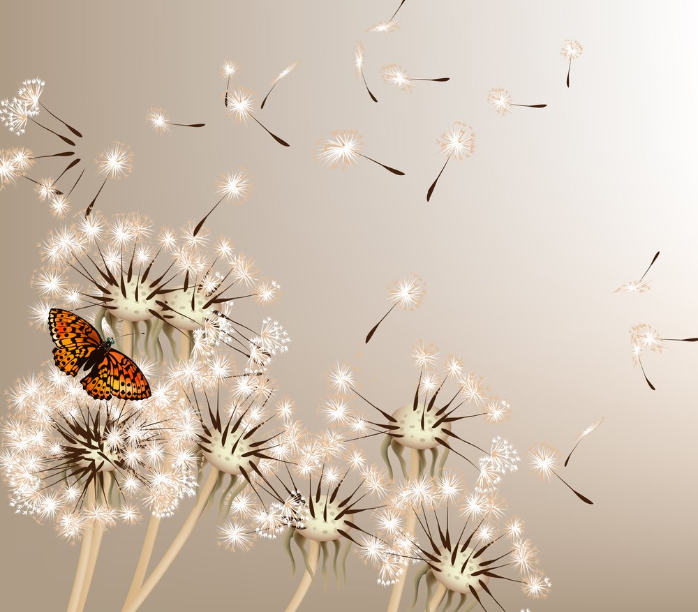 Foto-Schmutzfangmatte - Pusteblume mit Schmetterling