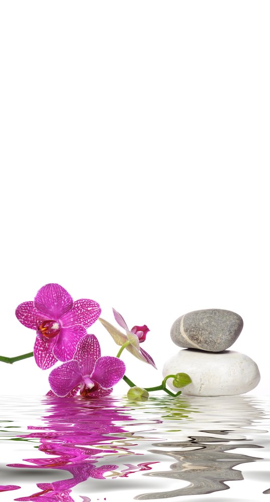 Plissee mit Motiv - Orchidee mit Steinen