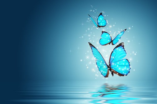 Foto-Lamellenvorhang - Blaue Schmetterlinge (von determined)