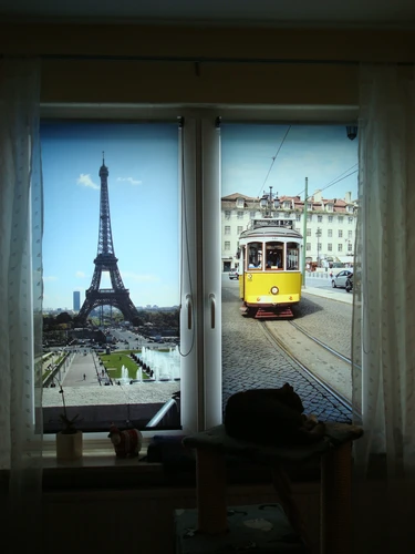 Foto-Rollos mit Eiffelturm und Straßenbahn