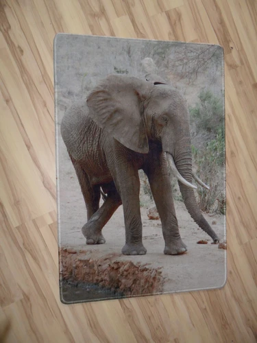 Foto-Vorleger mit Elefant