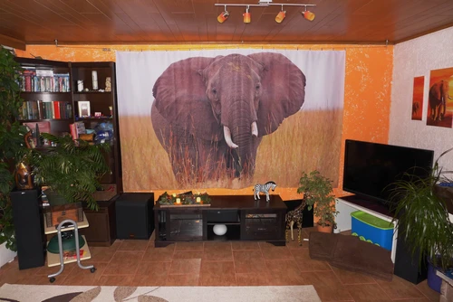 Foto-Vorhang bedruckt mit einem afrikanischen Elefanten als Abdeckung für eine Kino-Leinwand