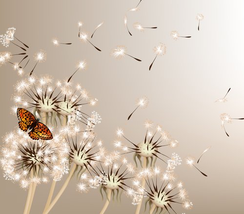 Dekostoffe - Pusteblume mit Schmetterling (von mashakotcur)