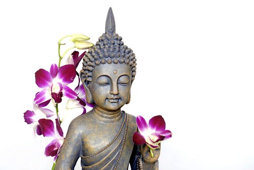 Foto-Schiebegardine ohne Schienensystem - Buddha Orchidee (von Anegada)
