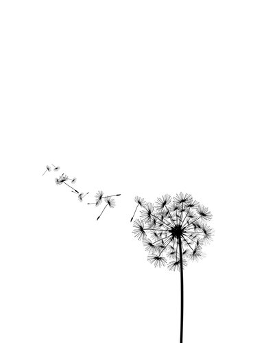 Foto-Schmutzfangmatte - Pusteblume schwarz weiß (von denisovd)