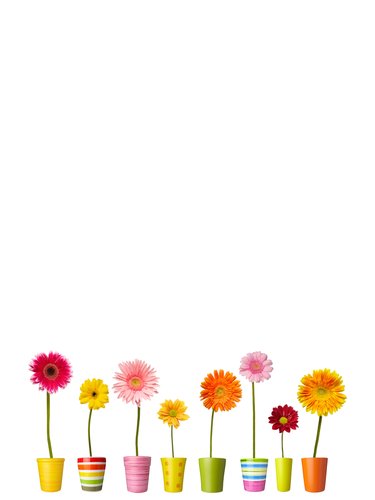 Dekostoffe - Topfblumen (von picsfive)